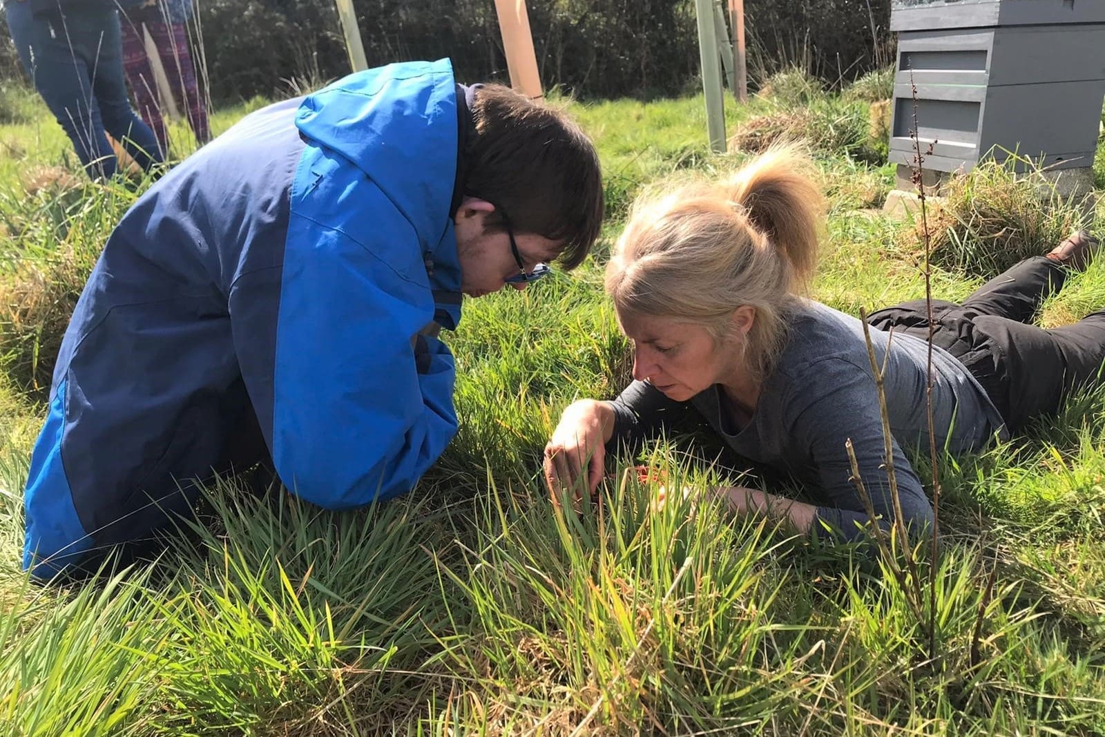 college-forestry-exploring-students