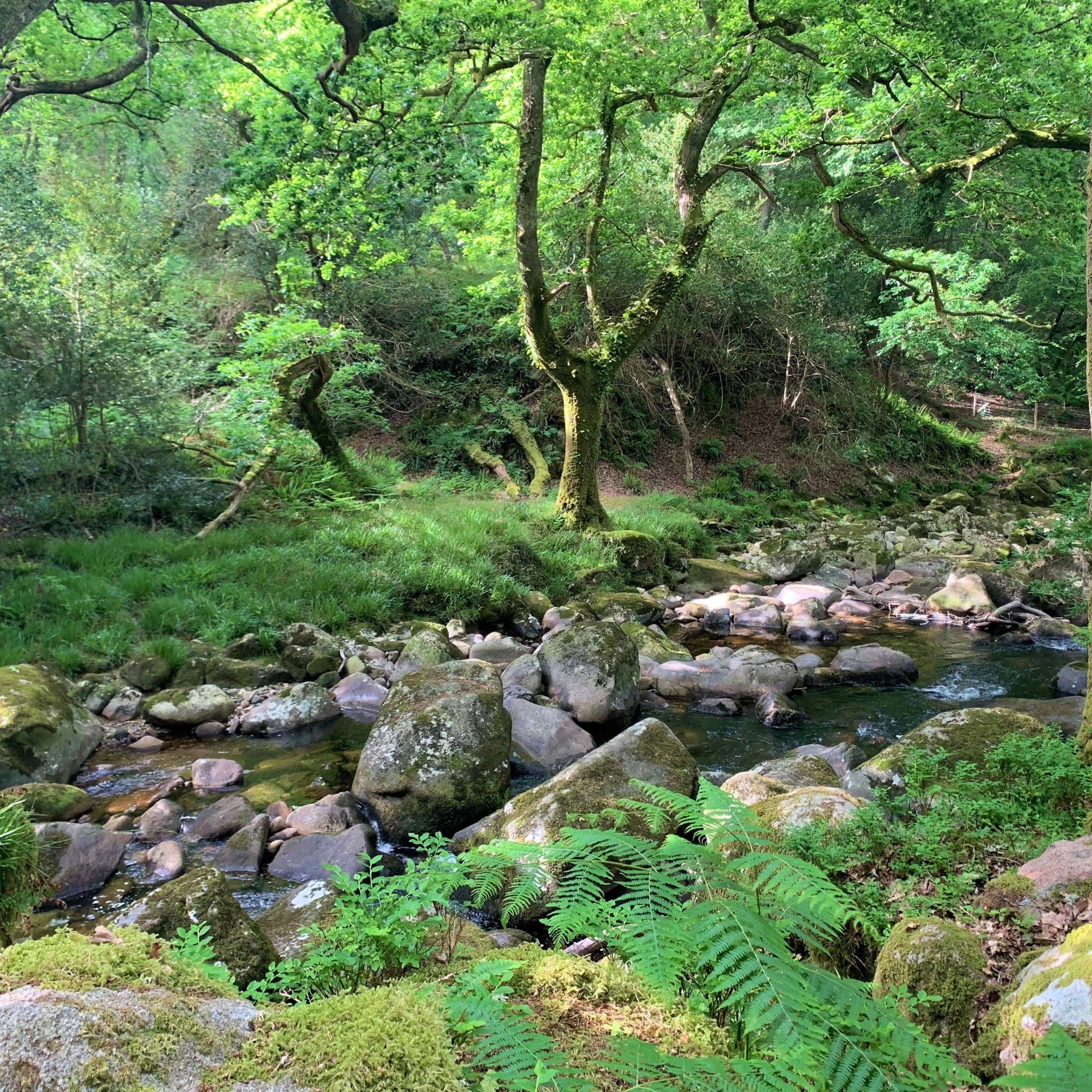 Dartmoor Lifeworks Community