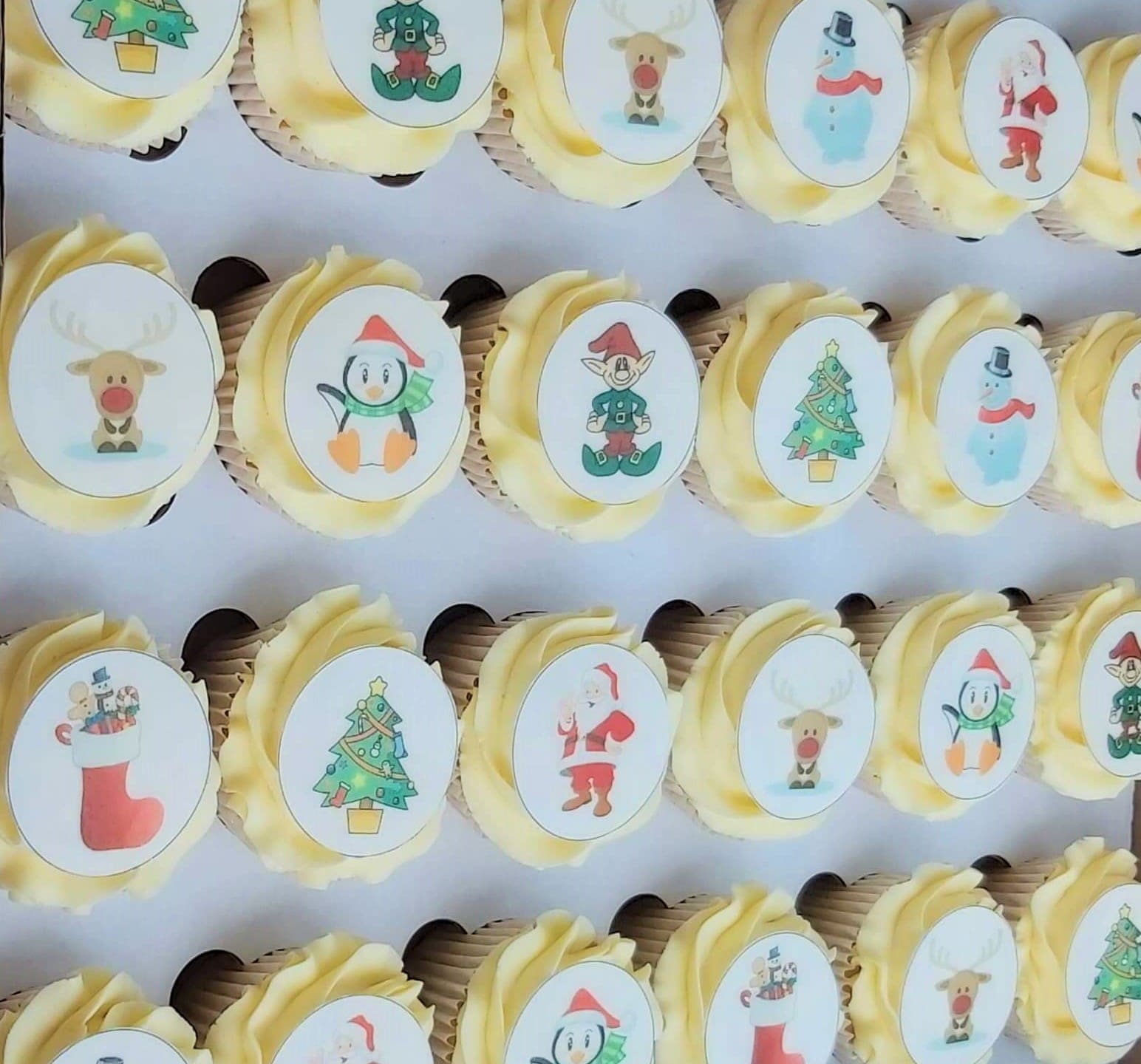 Lifeworks Robins Cakes