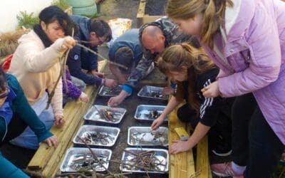 Lifeworks Nature Activities